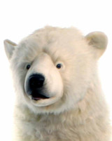 Hansa Polar Bear, Life Size Standing Up 58'' (3650)