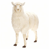 Hansa Sheep, Life Size Bone 42" x 36'' (HAN-3660)