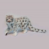 Hansa Snow Leopard, Standing (6514)
