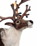 Hansa Nordic Reindeer, Life Size 65''H x 58"L (6875)