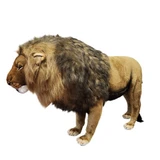 Hansa Lion King, Standing, 72''L (HAN-8078)