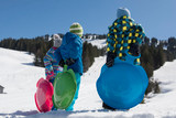 Kettler Spider Sleds