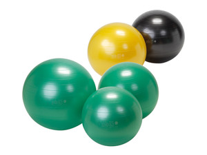 Gymnic Plus Exercise Ball Gymnic Plus Exercise Ball