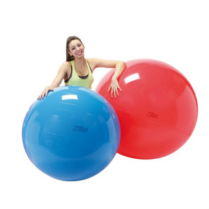 Gymnic Physio Large Size Therapy Ball