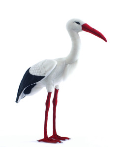 Hansa Stork, Adult 27.5'' (3516) Hansa Stork, Adult 27.5'' (3516)