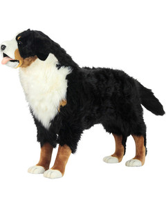 Hansa Bernese Mountain Dog Standing, 49"L x 34.5H (6849) Hansa Bernese Mountain Dog Standing, 49"L x 34.5H (6849)