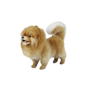 Hansa Pomeranian, 14" (7018) Hansa Pomeranian, 14" (7018)