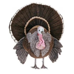 Hansa Turkey, Life Size 39"L x 46''H (4720)