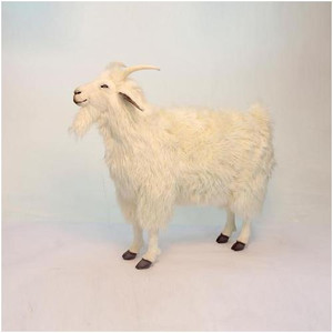 Hansa Cashmere Goat, 42'' (6186) Hansa Cashmere Goat, 42'' (6186)