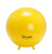 Gymnic Sit 'n' Gym Jr. Children's Sit-On Ball 