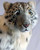 Hansa Snow Leopard Standing 49 Inches Long (4282)