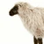 Hansa Sheep, Gentle Ewe Ride-On 42''L (3595)