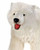 Hansa Polar Bear, Life Size Walking 53''L (3639)