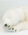 Hansa Polar Bear Cub, Lg Sleeping 41''L (4043) 