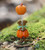 Wee Forest Folk Miniatures M-695 - Pumpkin Partier