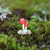 Wee Forest Folk Miniatures A-64 - Tiny Toadstools 