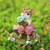 Wee Forest Folk Miniatures M-748 - Taking a Licking (Pink)