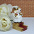 Wee Forest Folk Miniatures M-161 - Commencement Day (White)