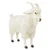 Hansa Cashmere Goat, 42'' (6186)