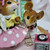 Wee Forest Folk Limited Edition LTD-10 - A Stitch in Time 1950's (A)