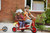 Winther Viking Twin Taxi Tricycle (WIN-468.00) 