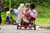 Winther Viking Twin Taxi Tricycle (WIN-468.00) 