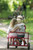 Winther Viking Twin Taxi Tricycle (WIN-468.00) 