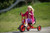 Winther Viking Tricart Tricycle (WIN-469.00)