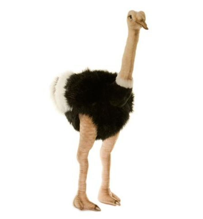 Hansa Ostrich, Male 32'' (3268) 