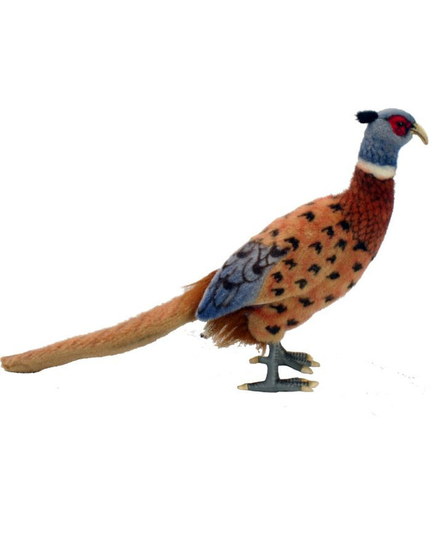 Hansa Pheasant, 14'' (3846)