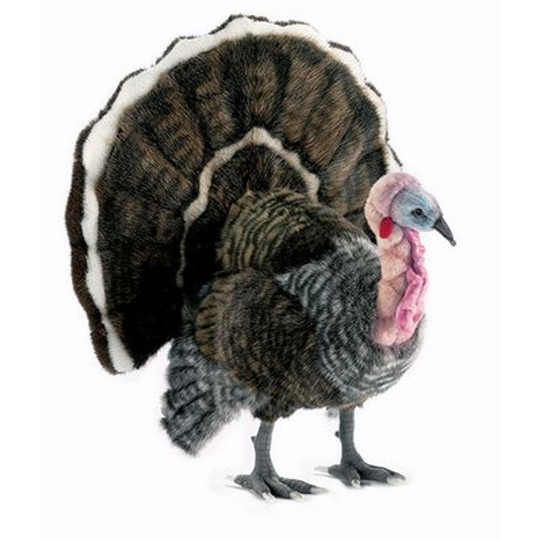 Hansa Turkey, Med 19''H (4725)