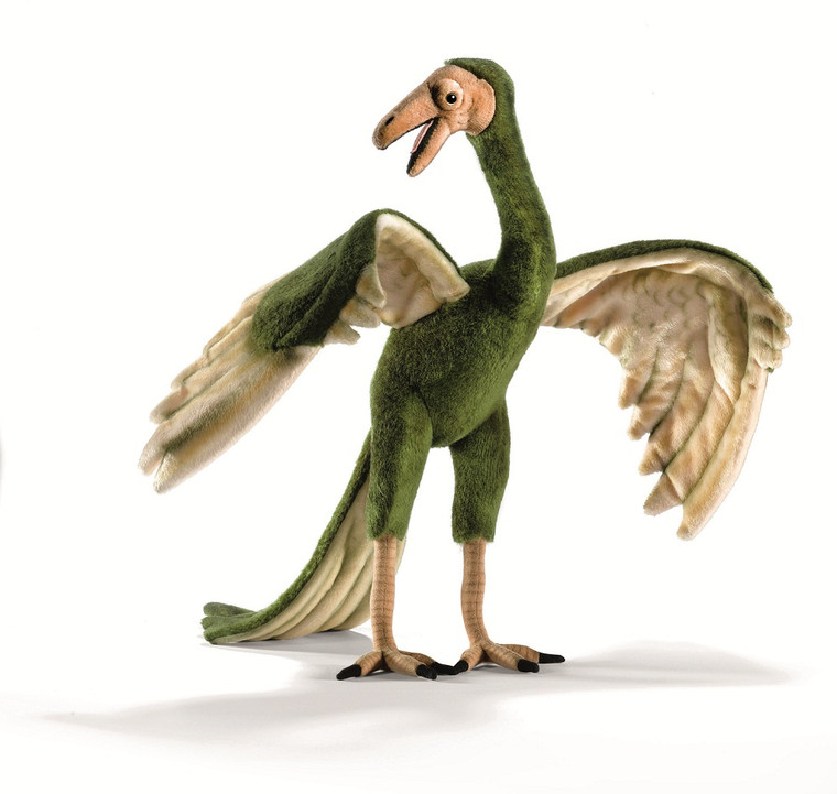 Hansa Archaeopteryx, 18.8''H