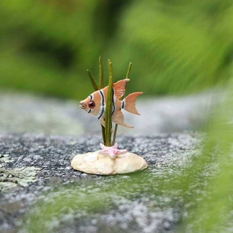 Wee Forest Folk Miniatures A-68 - Angelfish 