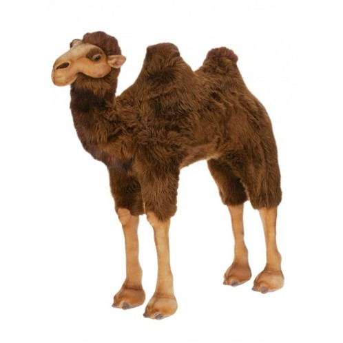 【Monamhee x Camel】 World Best Bread Brown ★人気 Monamhee x Camel World Best Bread Brown | eBay