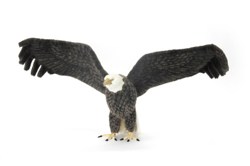 2個セットAmerican Eagle REAL 50mL リアル 2個セットAmerican Eagle REAL 50mL リアル