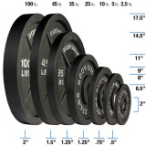 Body Solid 255 lb Cast Iron Olympic Plate Set- (LOCAL PICKUP ONLY)