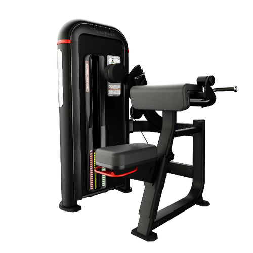 Nautilus Inspiration Bilateral Arm Curl