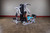 Body Solid EXM3000LPS Multi-Station Gym