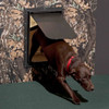 Two way pet doors (Magnador™)