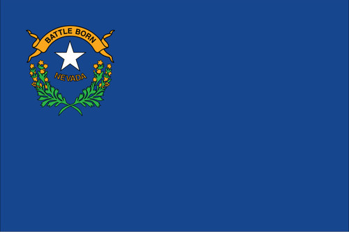 State Flag of Nevada- 3' x 5' - Nylon