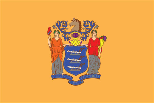 State Flag of New Jersey- 6' x 10' - Nylon