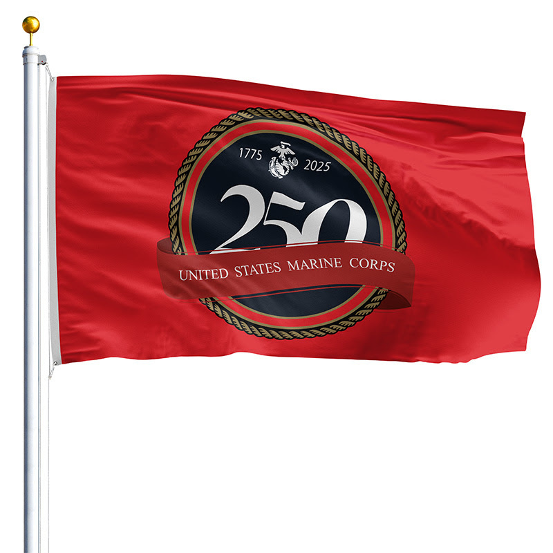 America 250 Flags image