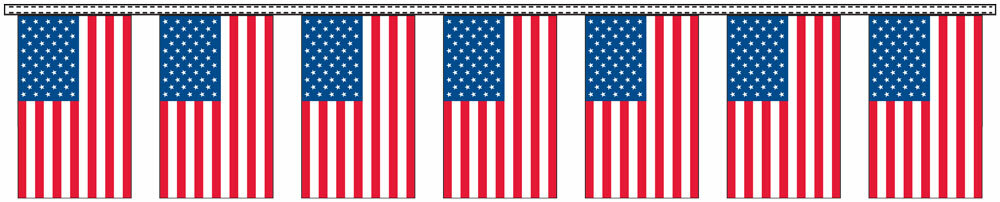 US Flag Pennant Streamers image
