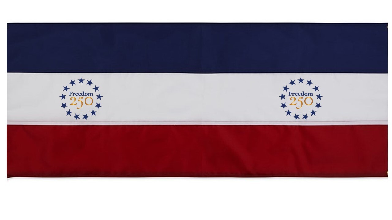 Freedom 250 Bunting image