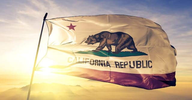 How and Why US States Adopted Their Own Flags - Independence Bunting & Flag
