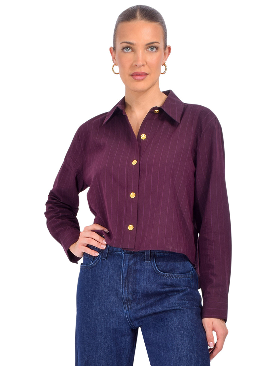 L'AGENCE Cosette Pinstriped Shirt in Burgundy Front View 