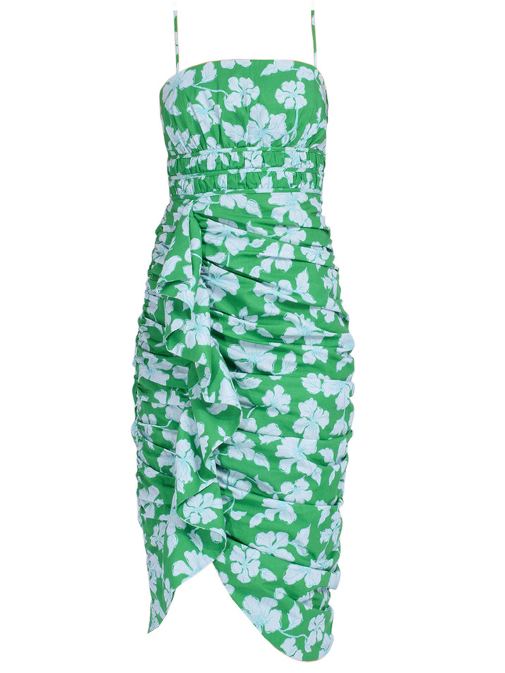 AMUR Olly Ruched Midi Dress in Green Frog Flower Product Shot
