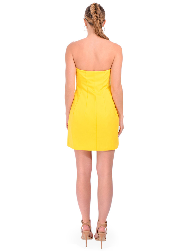 SIMKHAI Arta Bustier Mini Dress in Lemon Back View 