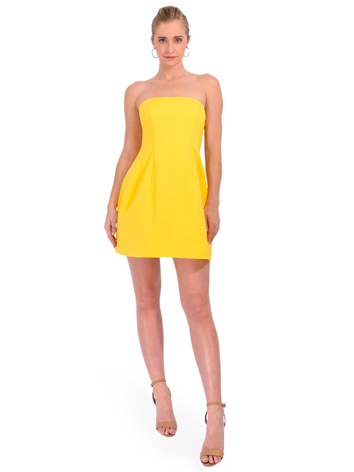 SIMKHAI Arta Bustier Mini Dress in Lemon Front View 1