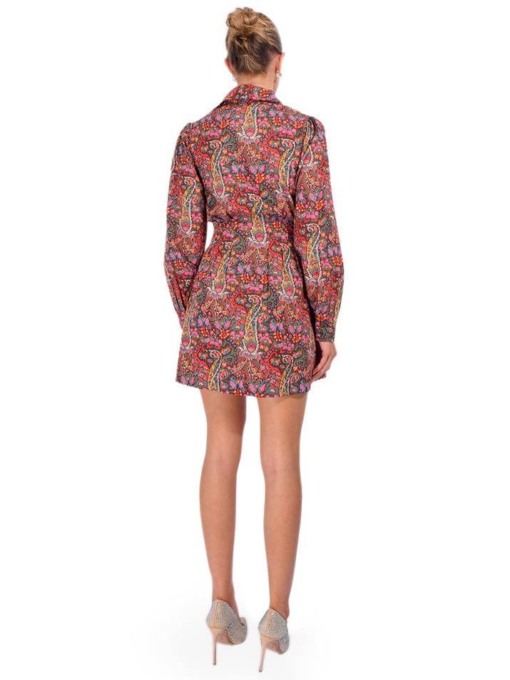 LOVE THE LABEL Marta Dress in Harelquin Back View 